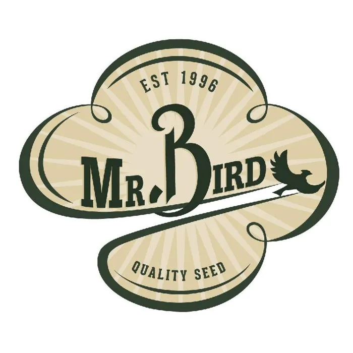 Mr. Bird
