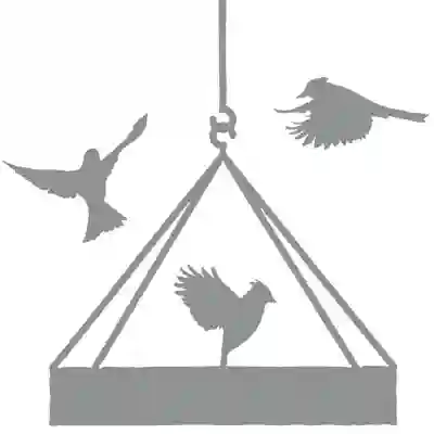 Image Alternative Text