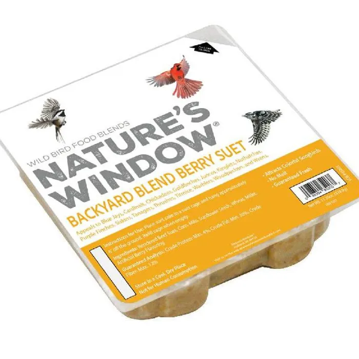 Nature's Window Berry Suet 11oz